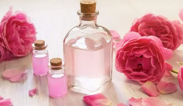 قیمت خرید گلاب اصل قمصر کاشان + مشخصات، عمده ارزان